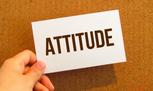 ATTITUDE
