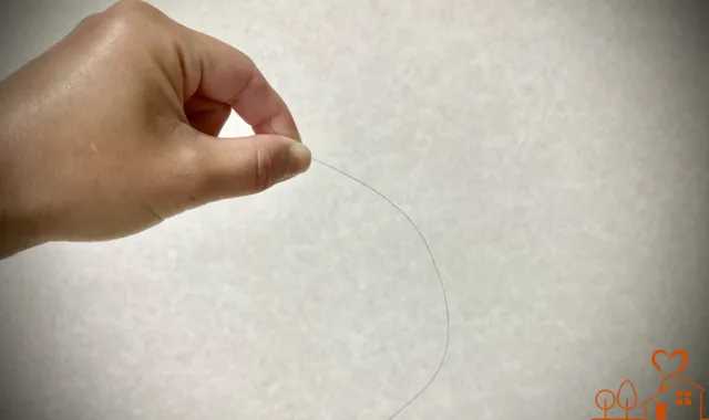 発見された髪の毛