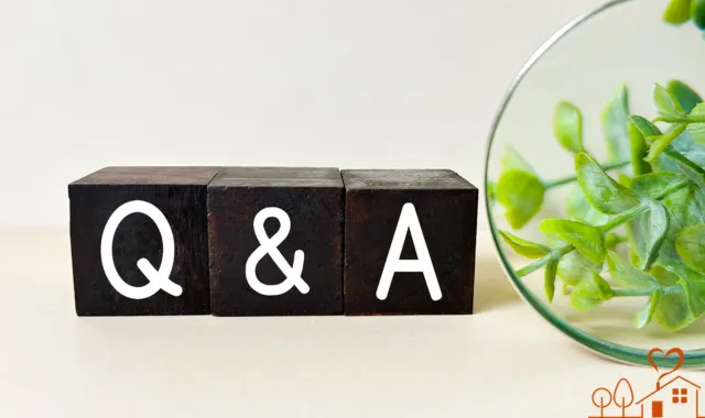 Q &A
