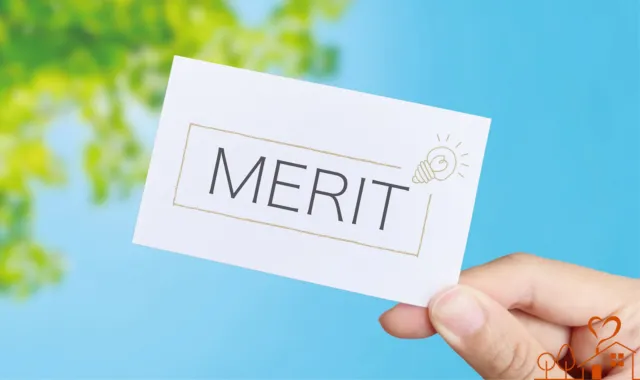 MERITの文字