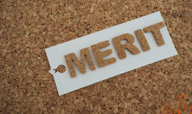 MERIT